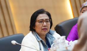 Profil Irma Suryani (Partai Nasdem) Daerah Pemilihan Sumatera Selatan II