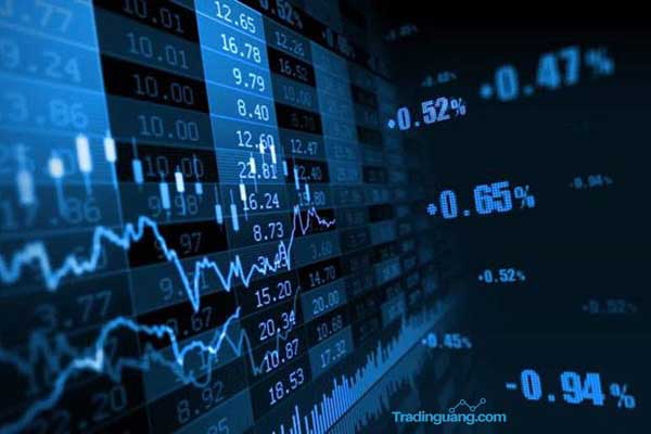 website cuan trading