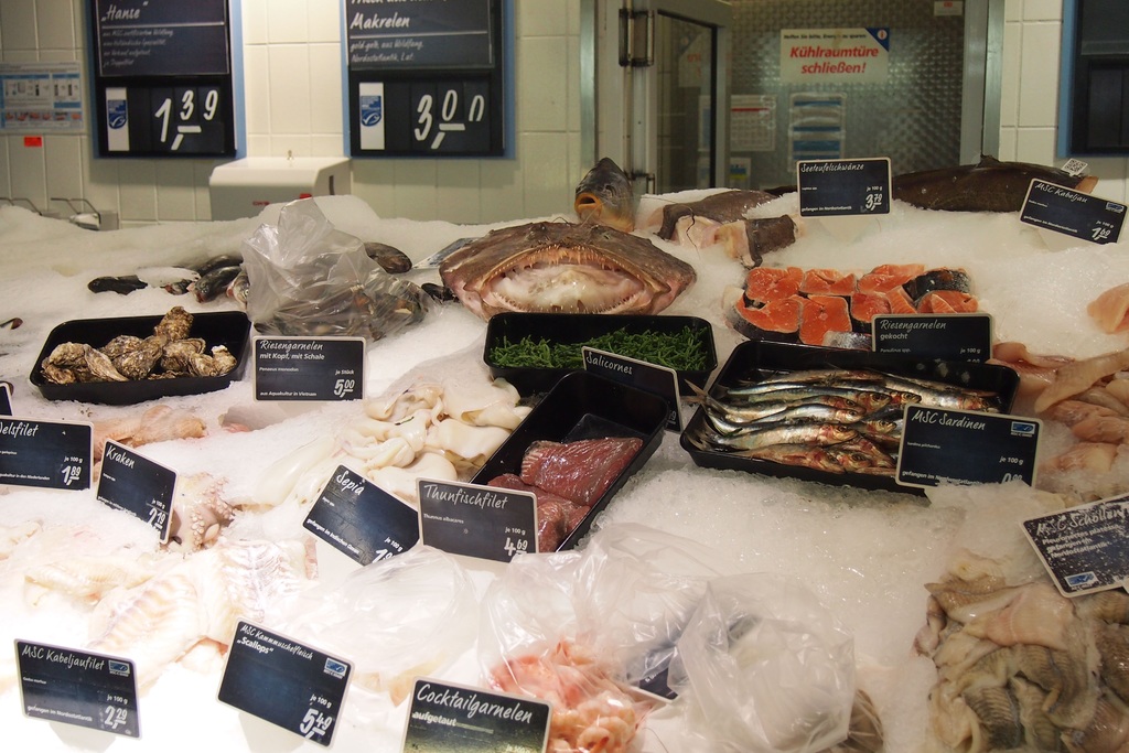 promosi frozen food