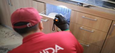 Jasa Anti Rayap Yogyakarta Solusi Perlindungan Bangunan