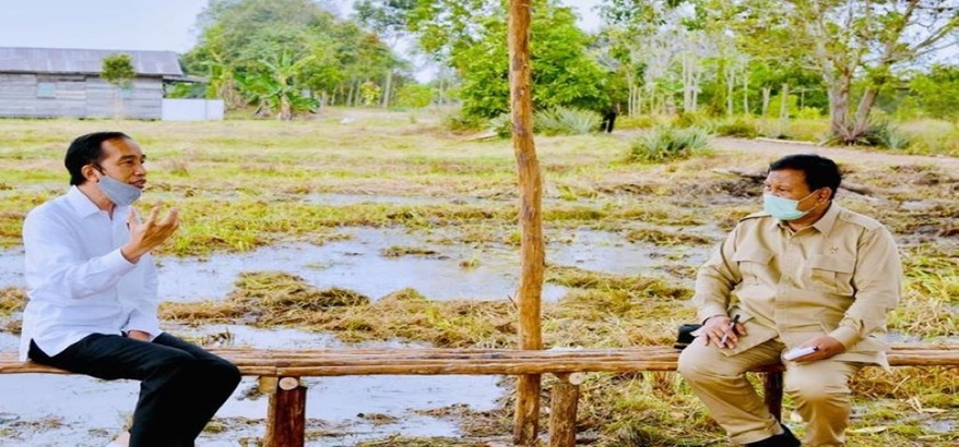 Gagalnya Proyek Food Estate Senilai Rp.108,8 Triliun, Prabowo Subianto Harus Bertanggung Jawab